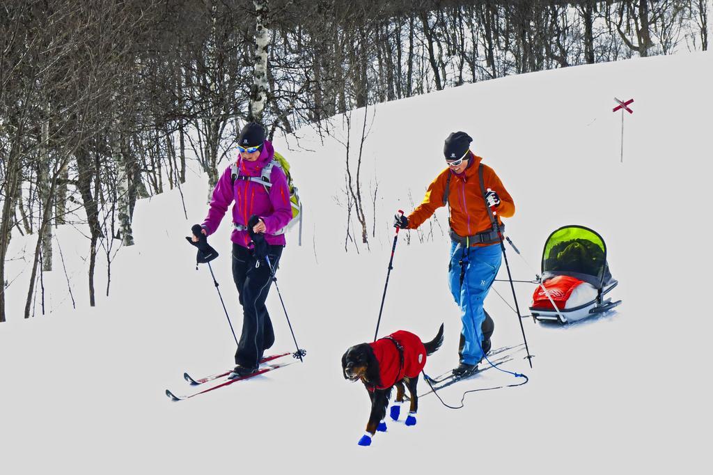 Eriksgardens Fjaellhotell Funäsdalen 외부 사진